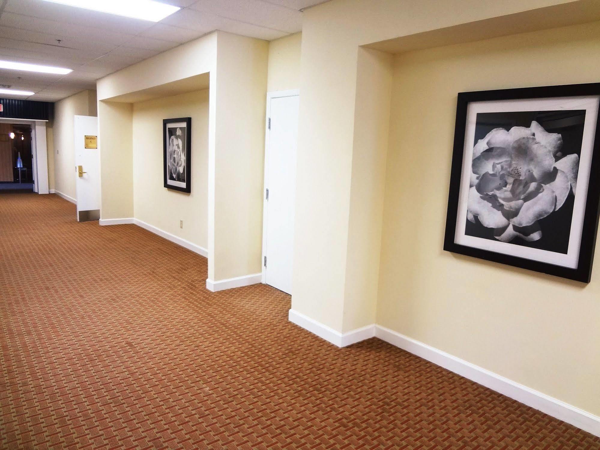 Red Roof Inn And Conference Center Chicago - N Aurora Naperville North Aurora ภายนอก รูปภาพ